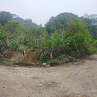 Đất Nền Bán Gấp Đt 433, Cao Sơn, Đà Bắc, Hòa Bình, 7200M2, 400M2 Thổ Cư