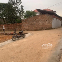 Chính Chủ Cần Bán Nhanh Lô Đất Đẹpdiện Tích80M2Mặt Tiền5M Full Thổ Cư Tân Minh Sóc Sơn Giá Bán 1,450 Tỷ