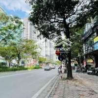 Bán Nhà Mặt Phố Láng Hạ,Diện Tích110M2 X 5 Tầng, Mặt Tiền 5.5M, Giá Bán 63 Tỷ.