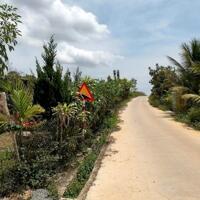 Bán đất tại Quốc Lộ 55, Xã Lộc Nam, Bảo Lâm, Lâm Đồng.