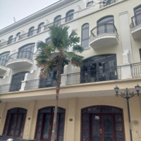 Cần B.á.n Gấp Căn Hải Âu 56M2 - Vinhomes Ocean Park 2