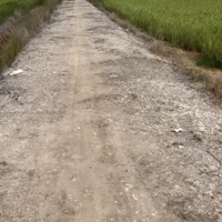 Bán Gấp Đất Nền 3705M2 Tại Hùng Vương, Vĩnh Thanh, Nhơn Trạch, Đồng Nai Chỉ Với 1,4 Triệu/M2 Cln
