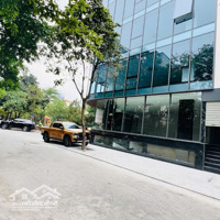 Chính Chủ Cho Thuê Cả Nhà Đường Đức Diễn, Liên Hệ Mr Huy: 0969526889