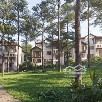 Duy Nhất Căn Bt Song Lập Ngoại Giao Diện Tích 190M2 Giá Và Cs Tốt Nhất Thị Trường Hiện Tại.