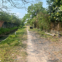 Bán Lô Đất Tặng Căn Nhàmặt Tiềnđường Số 518 Trải Đá Xe Tải,Diện Tích2.703M2, Có 300M2 Thổ Cư, Xã Nhuận Đức
