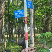 Bán Lô Đất Tặng Căn Nhàmặt Tiềnđường Số 518 Trải Đá Xe Tải,Diện Tích2.703M2, Có 300M2 Thổ Cư, Xã Nhuận Đức