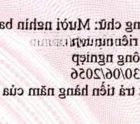 Cho Thuê 6.000M2 Nhà Xưởng Trong Kcn Mỹ Phước, Bình Dương
