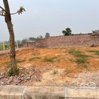 Bán Mảnh Đất 200M2 Lô Góc View Cánh Đồng Tại Thôn 1 Phú Cát Quốc Oai Hà Nội, Giá 19 Tr/M2