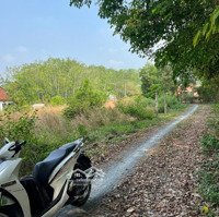 Ngộp, Kẹt Quá Bán Gấp Lô Đấtmặt Tiềnđường Trải Đá Xe Tải,Diện Tích606M, Thổ Cư, Xã An Nhơn Tây, Củ Chi