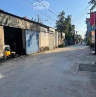 Bán Nhanh Lô Góc 2 Mặt Tiền,Trục Chinh Kinh Doanh Tại Đông Lai,Quang Tiến, Sóc Sơn