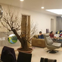 Bán Căn Hộ 163M2 4 Phòng Ngủ Ban Công Đông Nam, Tại Thăng Long N01, Giá Thỏa Thuận. Liên Hệ: 0962636162