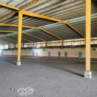 Cho Thuê Xưởng Phú Giáo, Bình Dương - Diện Tích 12.000M², Giá Thuê 1.9 Usd/M²
