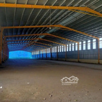 Cho Thuê Xưởng Phú Giáo, Bình Dương - Diện Tích 12.000M², Giá Thuê 1.9 Usd/M²