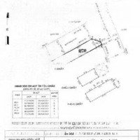 Hạ Giá Bán Nhà 5 Tầng Đường Trần Thị Hè, Gần Chung Cư Vip Hiệp Thành City .