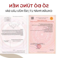 Đất Nền Quy Nhơn Iconic - Khác Biệt Đẳng Cấp