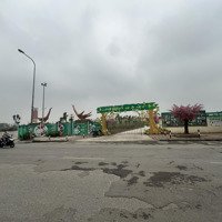 Mặt Phố Ngô Xuân Quảng, Sát Học Viện Nn , Kinh Doanh, View Vườn Hoa, K.doanh, Cho Thuê Dòng Tiền..