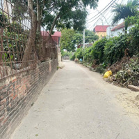 F0 83,8M Tại Cd Quán Trạch - Liên Nghĩa Đường Trục Chính 2 Oto Tránh Nhau.