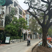 Chính Chủ Cần Bán Gấp Nhà Mặt Phố Mai Anh Tuấn 70M2 View Hồ Hoàng Cầu, Kinh Doanh Sầm Uất Giá Bán 41 Tỷ