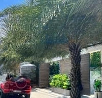 Khuôn Đất Còn Sót Lại Ngay Mặt Tiền Nguyễn Đình Chính, Phú Nhuận (25X16M)- Xd Hầm 7 Tầng- Giá Bán 50 Tỷ