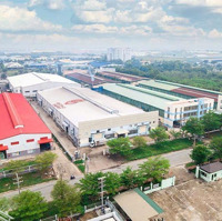Đất 170M2 Ngang 10M Ngay Trục Đường Cây Da Full Thổ Cư, Đã Có Sổ Sẵn Giá Chỉ 3Ty 800 Triệu