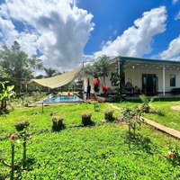 Nhà Villa Sân Vườn Rộng 1020M2 Có Hồ Bơi Xịn Xò