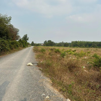 2200M2 Có 5M2 Thổ Cư. Đường Nhựa. Gần Kcn. Giá Bán 1,65 Tỷ