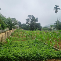 Vị Trí Đẹp Trong Làng Nghỉ Dưỡng Tại Phú Mãn Quốc Oai Hà Nội, Giá Chỉ Vài Triệu Rẻ Nhất Thị Trường