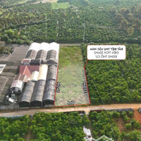 Bán Đất Tại Trịnh Hoài Đức, Lộc Nga, Bảo Lộc, Lâm Đồng, 1,59 Tỷ, 301 M2