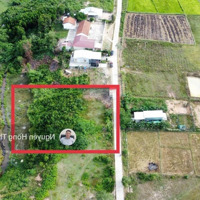 Cần Tiền Bán Lô Đất 1800M Có 400M Thổ Cách Tp Nha Trang 50 Phút Thích Hợp Làm Farm Nhà Vườn Chỉ 790
