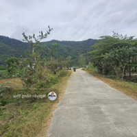Cần Tiền Bán Lô Đất 1800M Có 400M Thổ Cách Tp Nha Trang 50 Phút Thích Hợp Làm Farm Nhà Vườn Chỉ 790