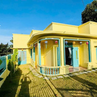 Bán Nhà Vườn Sầu Riêng 2 Phòng Ngủ 2 Vệ Sinh 877M2 Tại Lộc Đức, Bảo Lâm, Lâm Đồng, Giá Siêu Hời 2,99 Tỷ