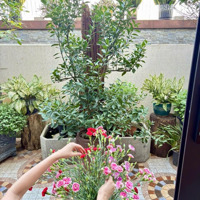 Bán Căn Hộ Penhouse 135M2 View Hồ Hướng Đông Nam Tại Hh Linh Đàm, Hoàng Mai. Liên Hệ: 0968655412