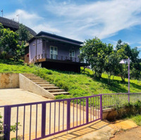 Chủ Ngộp Bán Gấp Đất Hẻm Tôn Thất Thuyết Tp Bảo Lộc. Giá Bán 400 Triệu.