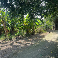 Cần Bán 1 Ngàn 230M2 Có 400M2 Đất Ở View Sông Thăng Long