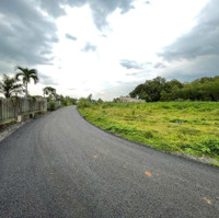 Bán Đất Tại Bình Ba, Châu Đức, Bà Rịa Vũng Tàu, Giá Ưu Đãi 3,5 Tỷ, 2600M2