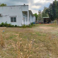 Cho Thuê Kho Xưởng Tại Xã Xà Bang Châu Đức, Bà Rịa Vũng Tàu 4670M2 - 1550M2 Xưởng