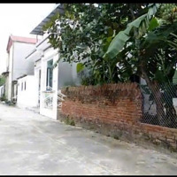 Quảng Hội - Quang Tiến Đường Rộng 7M Đầu Tư