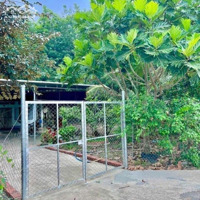 Bán Đất Giá Lỗ Ngay Tại Bình Long, Bình Phước