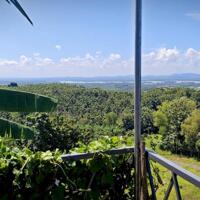 View hồ Trị An  – Đất đẹp nghỉ dưỡng – Chỉ 500tr/sào – Tiềm năng phát triển cao, cơ hội vàng cho nhà đầu tư