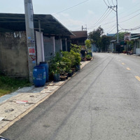 Kẹt Tiền Bán Gấp Miếng Đất Shr 8X30M Giá Bán 1 Tỷ 650Mặt Tiềnđường Trần Thị Cẩm Ngay Mũi Tàu Tân Phú Trung