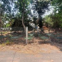 Gia Đình Cần Bán 830M2 Đất Vườn, Mặt Tiền Đường Nhựa Tại An Tây, Bến Cát