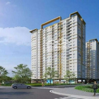 Cho Thuê Căn Hộ 1 Phòng Ngủ 43M2, Giá Rẻ Chỉ Có 3,5 Triệu Tại Lê Thị Trung, An Phú, Thuận An, Bình Dương
