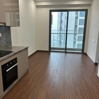 Chính Chủ Nhờ Cho Thuê Căn Hộ Hiện Đại Mandarin Garden - Hoàng Minh Giám- Cầu Giấy- Hà Nội