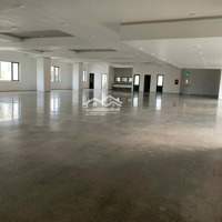 Chính Chủ Cho Thuê Mặt Tiền Đường Nguyễn Cơ Thạch Quận 2