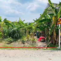 Kẹt Tiền Cần Bán Lô Đất 119M2 Có Thổ Cư Đường Hồ Văn Tắng, Tân Phú Trung. (Shr)