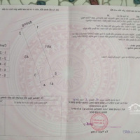 Chính Chủ Cần Bán Nhanh Lô Đất Vị Trí Đẹp Trong Chợ Số 8, Kim Long ,Huyện Tam Dương,Vĩnh Phúc