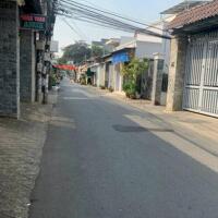 Cơ hội đầu tư cực tốt, đất sổ riêng thổ cư, đường nhựa 4m chỉ 1tỷ850/lô