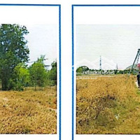 Các Bất Động Sản Tại Phường Kim Dinh, Tp. Bà Rịa, Tỉnh Bà Rịa - Vũng Tàu