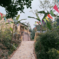 Khuôn Viên Sẵn Sử Dụng Tại Lương Sơn. Diện Tích Sử Dụng: 4.700M2. Trên Sổ Là 3.438,1M2. Có 400M Thổ