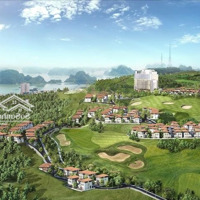 Bán Lô Góc Đất Bt Đồi Thủy Sản, 179M2, Giá Thỏa Thuận, Bãi Cháy, Hạ Long, Quảng Ninh
